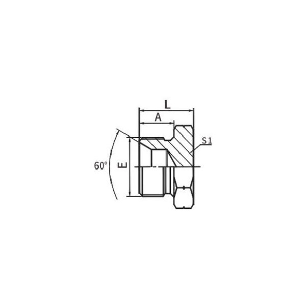 BSP Hane Dubbel För 60° Seat Bonded Seal/BSP Hona 60° Cone